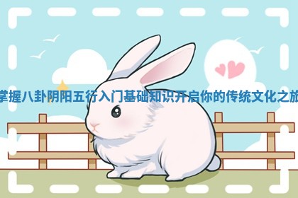 掌握八卦阴阳五行入门基础知识开启你的传统文化之旅
