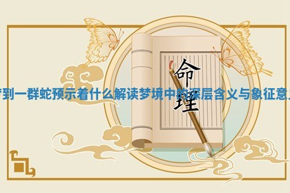 梦到一群蛇预示着什么 解读梦境中的深层含义与象征意义