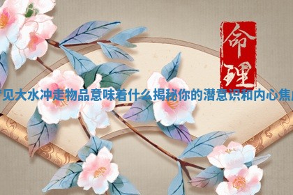 梦见大水冲走物品意味着什么揭秘你的潜意识和内心焦虑