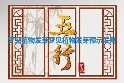 梦见植物发芽_梦见植物发芽预示发财