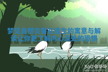 梦见自然灾害在逃生的寓意与解读让你更了解内心深处的恐惧