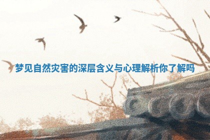 梦见自然灾害的深层含义与心理解析你了解吗