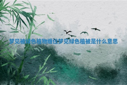 梦见被绿色植物缠住_梦见绿色植被是什么意思